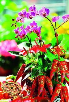 微信图片编辑_20220926091847.jpg