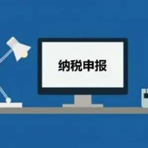 保定财务报税怎么报？