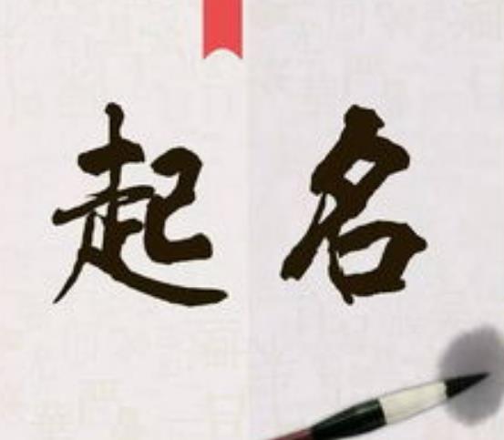 杭州广告公司名字大全2022