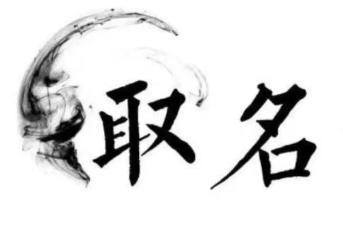 杭州2020最新公司取名