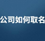 杭州22年超好听的软件公司取名