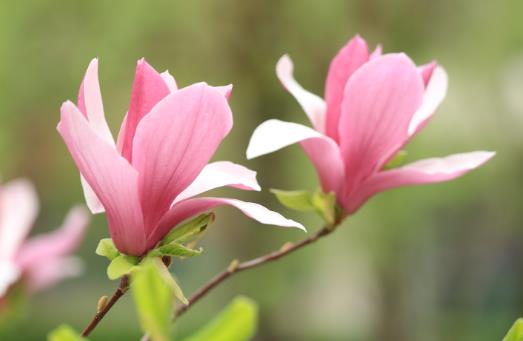 杭州最新版好听的公司起名