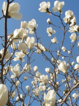 1663629921236190.jpg 微信图片编辑_20220920072457.jpg