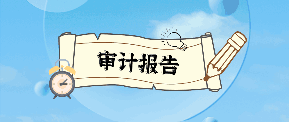 保定财务审计报告都有哪些类型?