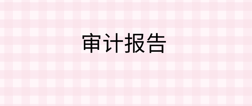 北辰公司内部审计报告内容有哪些?