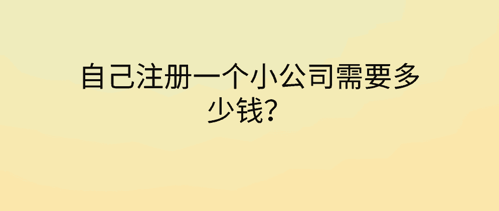 北辰自己注册一个小公司需要多少钱？