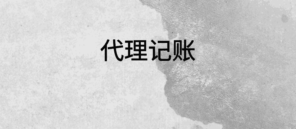 保亭会计报表审计意见类型及出具条件是怎样的?