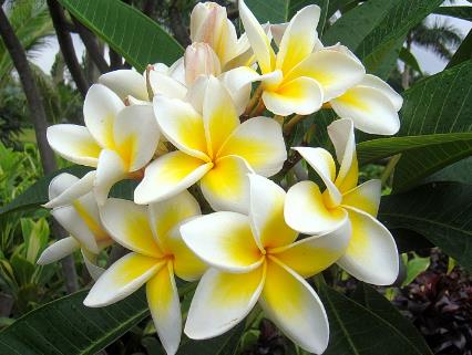 杭州好听的建筑公司起名